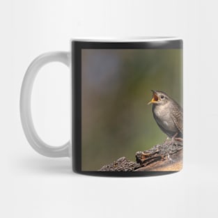 House Wren Calling Out Mug